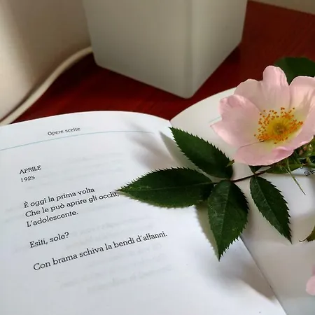 Eridia's Pensión